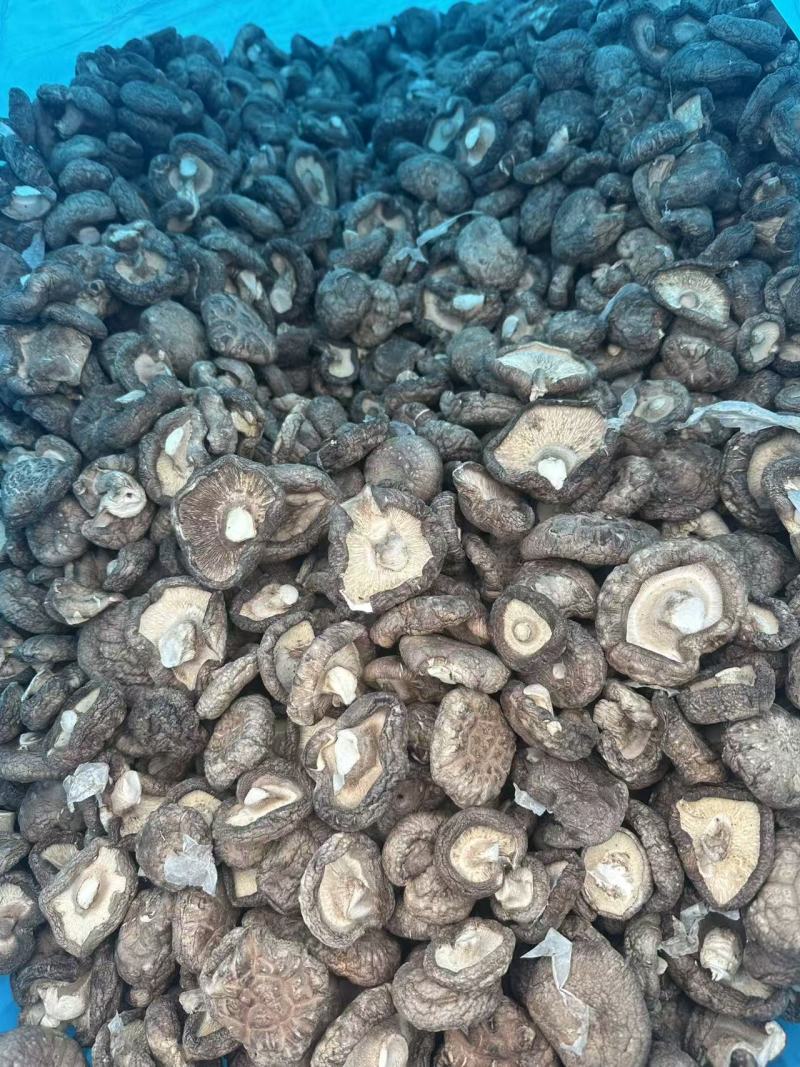 干香菇河南特产产地直供常年有货健康产品