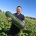 黑皮冬瓜【精品推荐】吉林产区量大从优个头大品质好客户至上