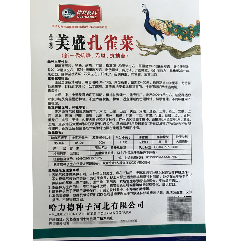 孔雀菜种子美盛早生耐热无斑抗抽苔纤维少大田基地