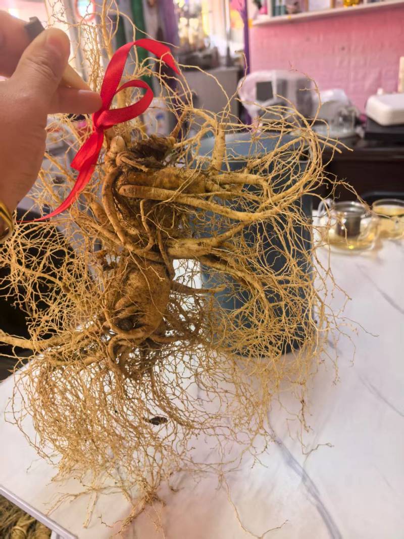 【精选】吉林人参产地批发自产自销东北人参货源充足