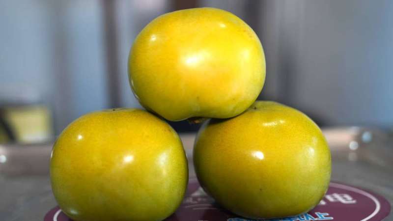 太秋甜柿柿子大量上市对接全国欢迎进店