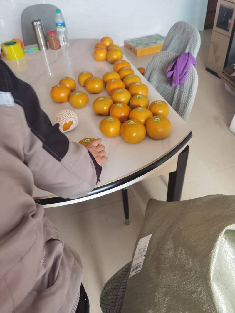 太秋甜柿柿子大量上市对接全国欢迎进店