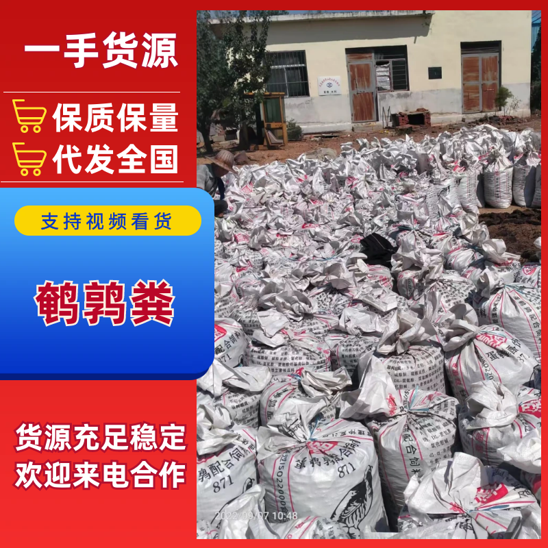 自家鹌鹑粪发车，水泥地晾干，纯颗粒鹌鹑干粪