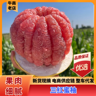 蜜柚广西蜜柚皮薄甜度高万亩果园持续供应代发全国