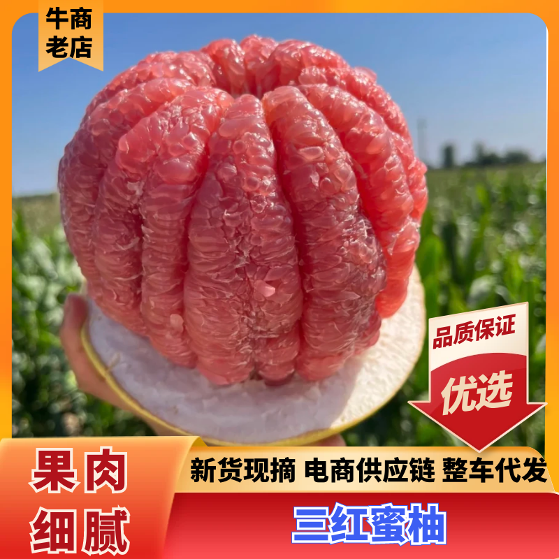 蜜柚广西蜜柚皮薄甜度高万亩果园持续供应代发全国
