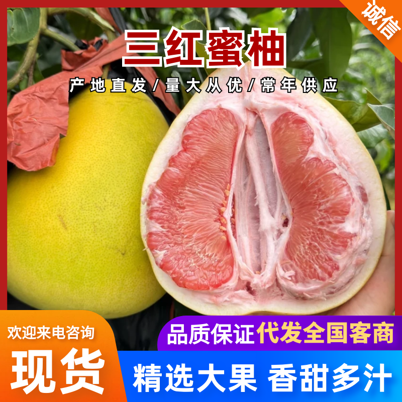 广西红心柚三红蜜柚大量供应可视频实地看货欢迎咨询下单