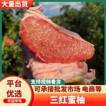 广西三红柚广西三红蜜柚货源充足量大从优品质保证
