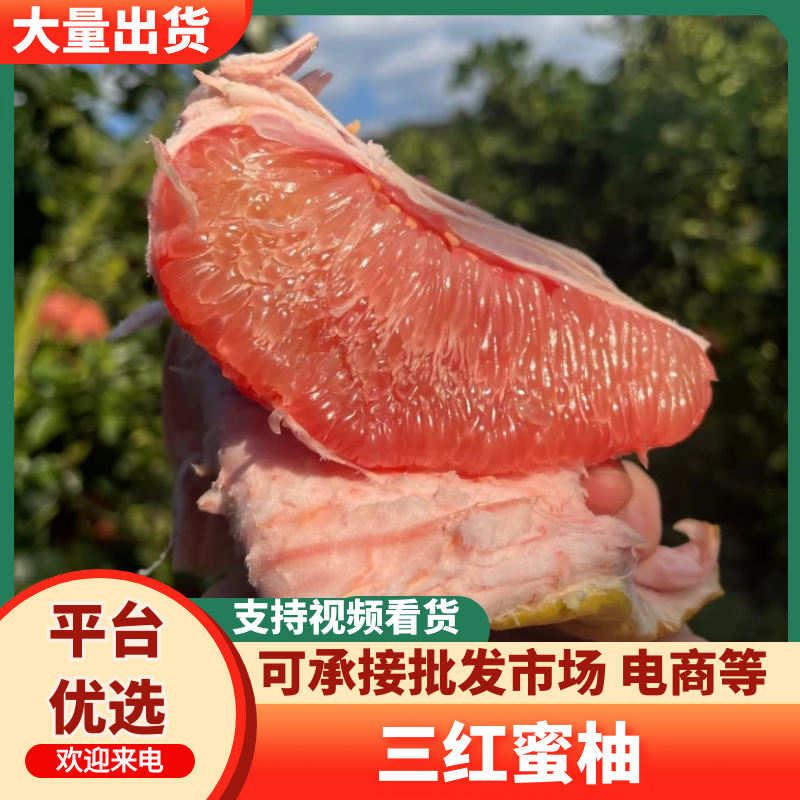 广西三红柚广西三红蜜柚货源充足量大从优品质保证