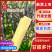 广西黑皮甘蔗脆甜多汁万亩基地持续供应欢迎来电咨询