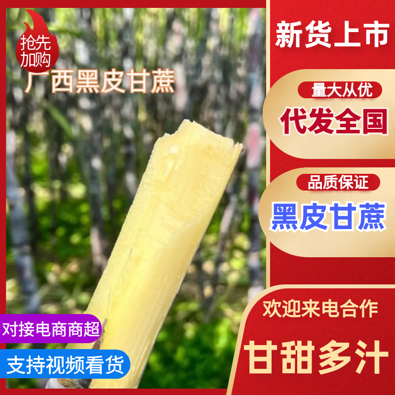 广西黑皮甘蔗脆甜多汁万亩基地持续供应欢迎来电咨询