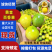 【实力供货】黄金百香果广西百香果对接市场电商商超