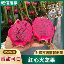 红心火龙果南宁火龙果基地直发提供一条龙服务欢迎致电