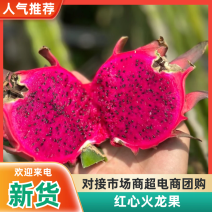 火龙果广西红心火龙果大量供应品质保证供应全国市场