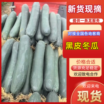 黑皮冬瓜【精品推荐】吉林产区量大从优个头大品质好客户至上