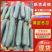 黑皮冬瓜【精品推荐】吉林产区量大从优个头大品质好客户至上