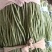 新鲜上市长条豆角价格美丽质量好走货快欢迎询价正在热卖