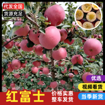 红富士苹果甘肃苹果脆甜多汁基地直发欢迎来电咨询