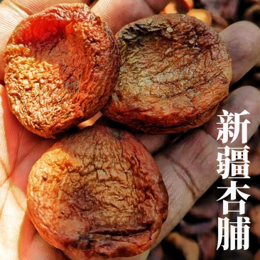 杏脯新疆特产去核杏肉肉厚香甜新货果干包邮批发