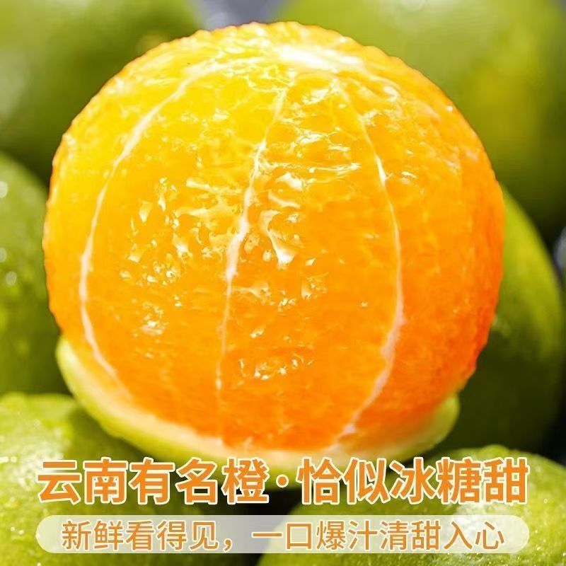 【一件代发】云南哀牢山青皮冰糖橙支持各大电商平台代发