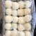 绥中黄元帅苹果量大质优价格优惠一手货源欢迎咨询采购