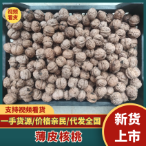 一手货源园产地核桃大量上市欢迎采购皮薄核桃支持各种快递