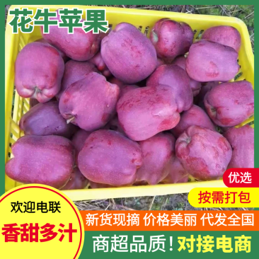 天水千亩果园花牛苹果大产地支持各种快递一件代发