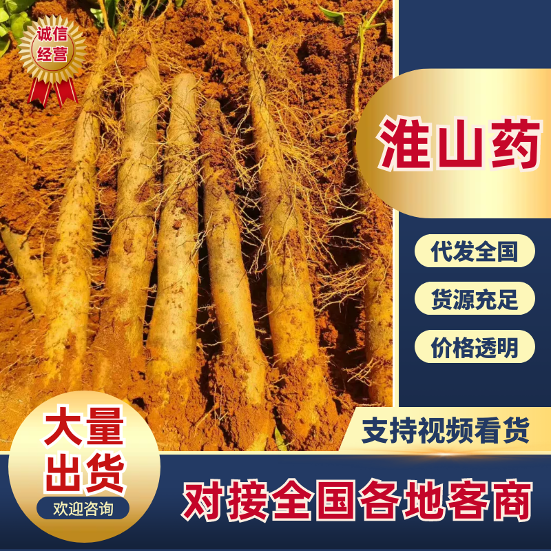 【放心购买】贺州淮山药广西正宗淮山药软糯香甜基地直发