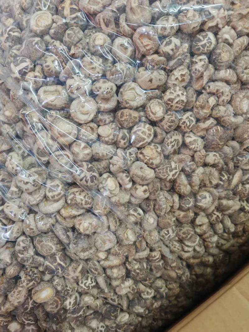 精选花菇干香菇湖北基地直供质量保证货源充足全国发货