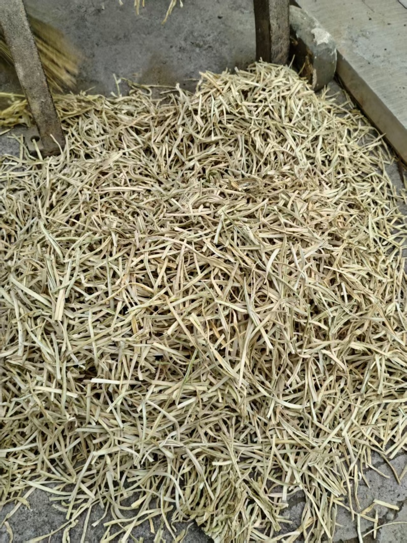 河北农副产品葫芦条大量上市/可视频看货/欢迎咨询