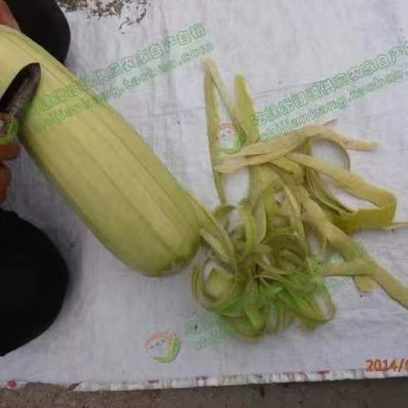河北农副产品葫芦条大量上市/可视频看货/欢迎咨询