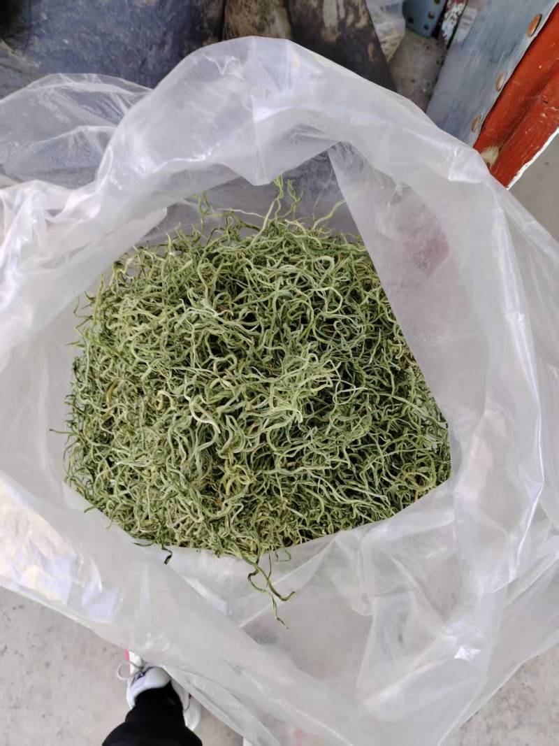 河北农副产品豆角丝大量上市/可视频看货/欢迎咨询