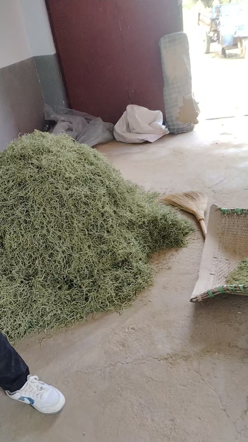 河北农副产品豆角丝大量上市/可视频看货/欢迎咨询