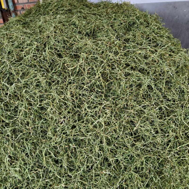 河北农副产品豆角丝大量上市/可视频看货/欢迎咨询