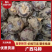 《马蹄》广西马蹄/毛马蹄/珍珠马蹄/大量有货价格商议