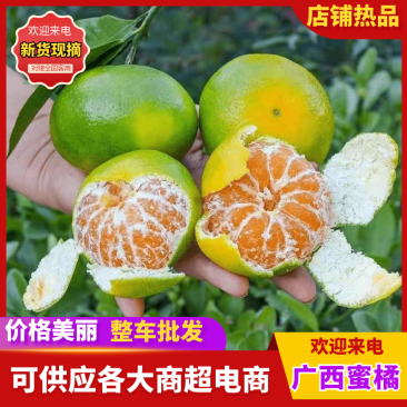 《新余蜜橘》南丰蜜橘/产地直发/电商供应/价格电联