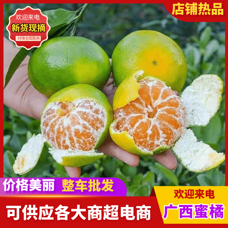 《新余蜜橘》南丰蜜橘/产地直发/电商供应/价格电联