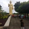 文山来翔农业发展有限公司的一亩田店铺