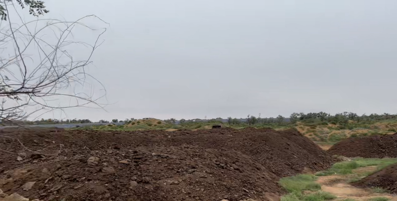 发酵纯羊粪种植基地/有机肥厂直供/高标准农田供应/