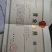 沙地凉薯