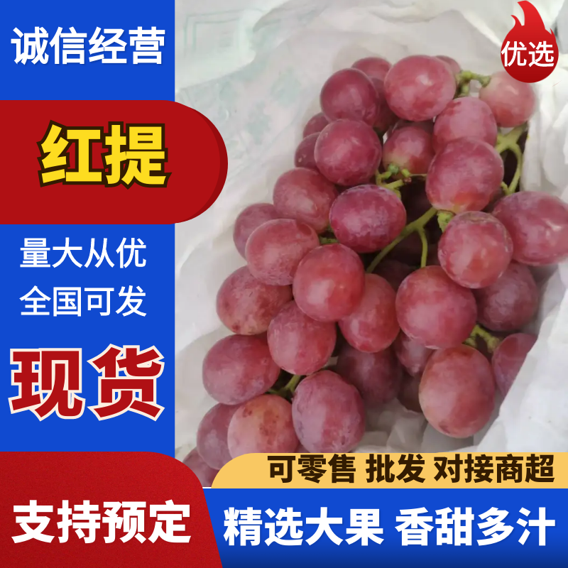 【实力推荐】精品红提河南三门峡葡萄大量上市品质保障可视频