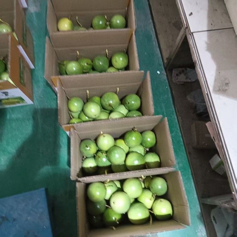 【黄金百香果】贵州基地直供质量保证货源充足顺丰包邮