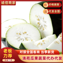 河北保定清苑冬瓜上市中，黑皮吊瓜，趴地瓜，绿优抗病，等等