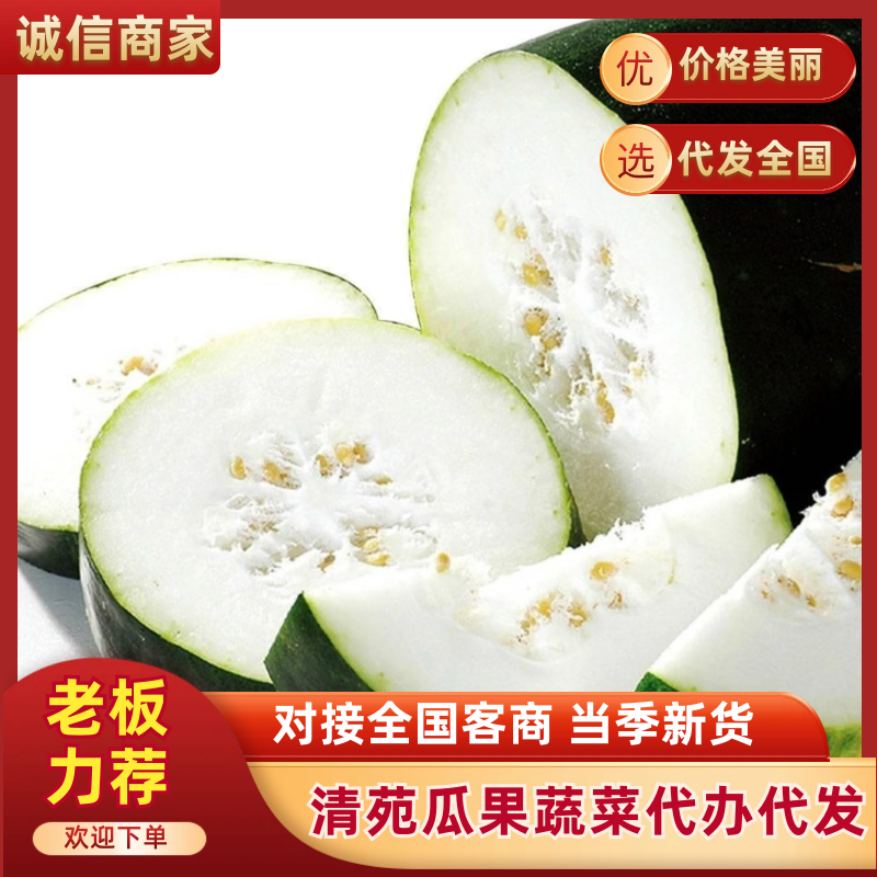 河北保定清苑冬瓜上市中，黑皮吊瓜，趴地瓜，绿优抗病，等等