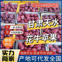 《天水花牛苹果》甘肃苹果/产地现摘现发/规格齐全/全国发