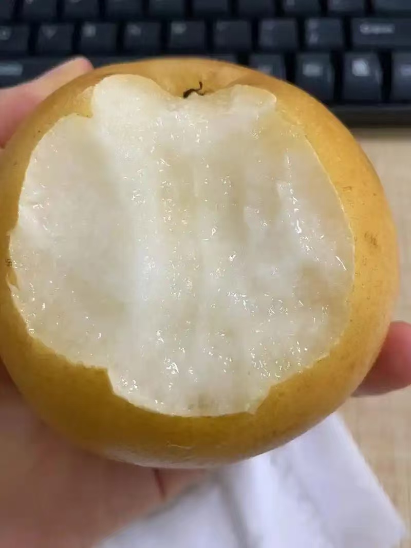 丰水梨大量有货产地直发代发全国一手货源