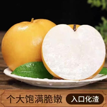 秋月梨对接电商可视频看货代发全国诚信经营