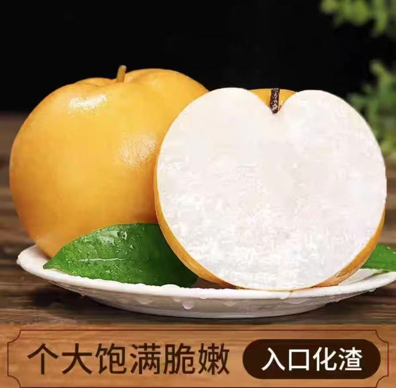 秋月梨对接电商可视频看货代发全国诚信经营