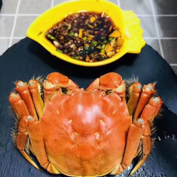 盘锦河蟹原产地一手价格黄满膏肥肉厚有网袋纸箱泡沫箱按要求分拣