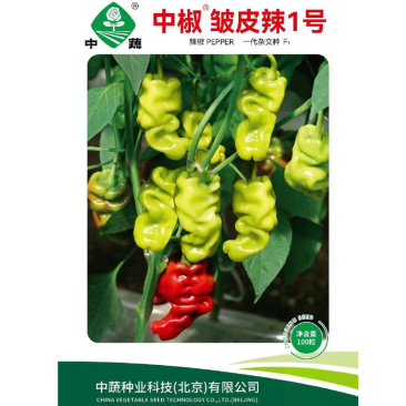 中椒皱皮辣1号皱皮辣椒种子香辣味浓南北春四季蔬菜种子