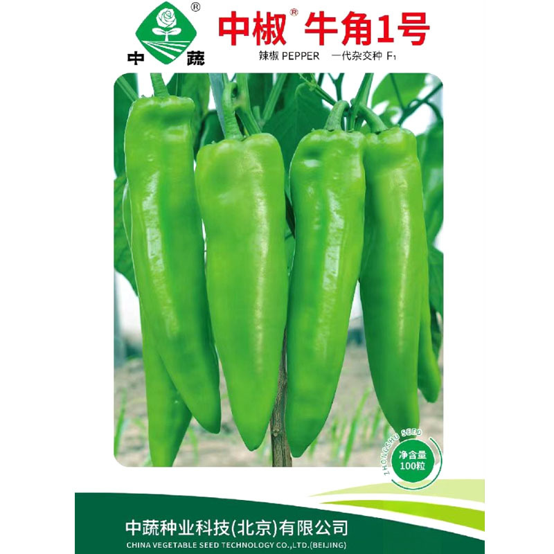 中椒牛角1号牛角椒种子尖椒种籽春秋冬辣椒种孑四季蔬菜籽